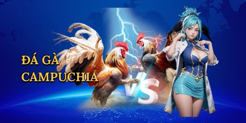 Đá gà Campuchia