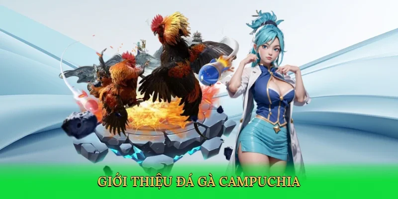 Giới thiệu Đá gà Campuchia