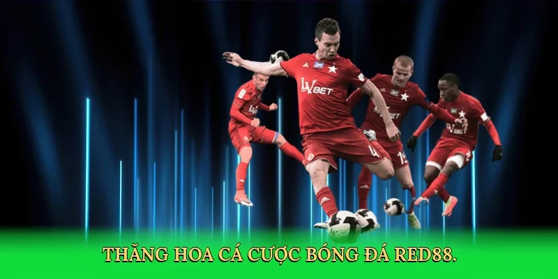 Thăng hoa cá cược bóng đá RED88.