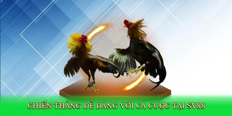 Chiến thắng dễ dàng với cá cược tại SV88