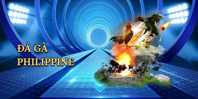 Đá Gà Philippine – Trải Nghiệm Cá Cược Đỉnh Cao Tại SV88