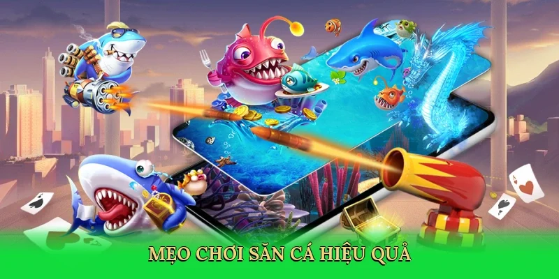 Mẹo chơi săn cá hiệu quả